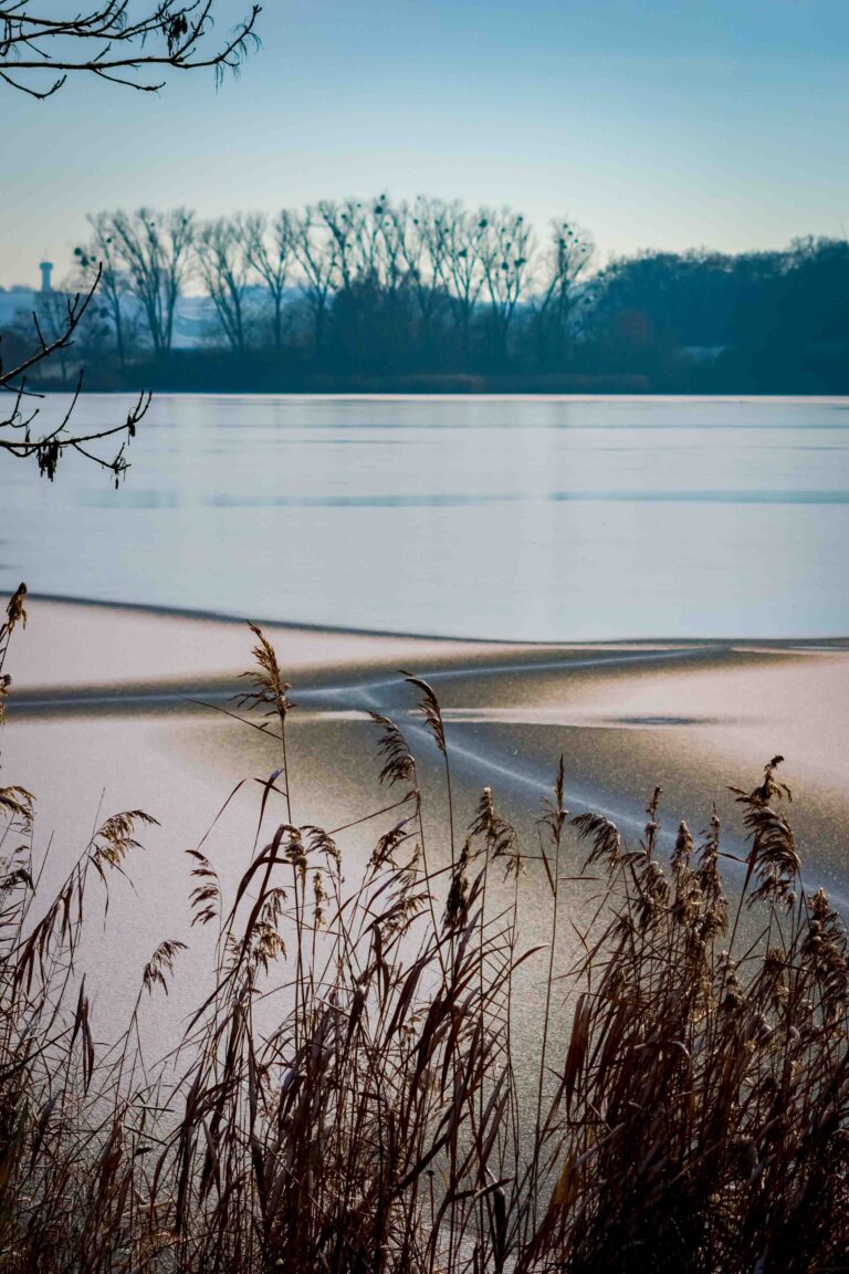 #brice_krysik_#photo_-51