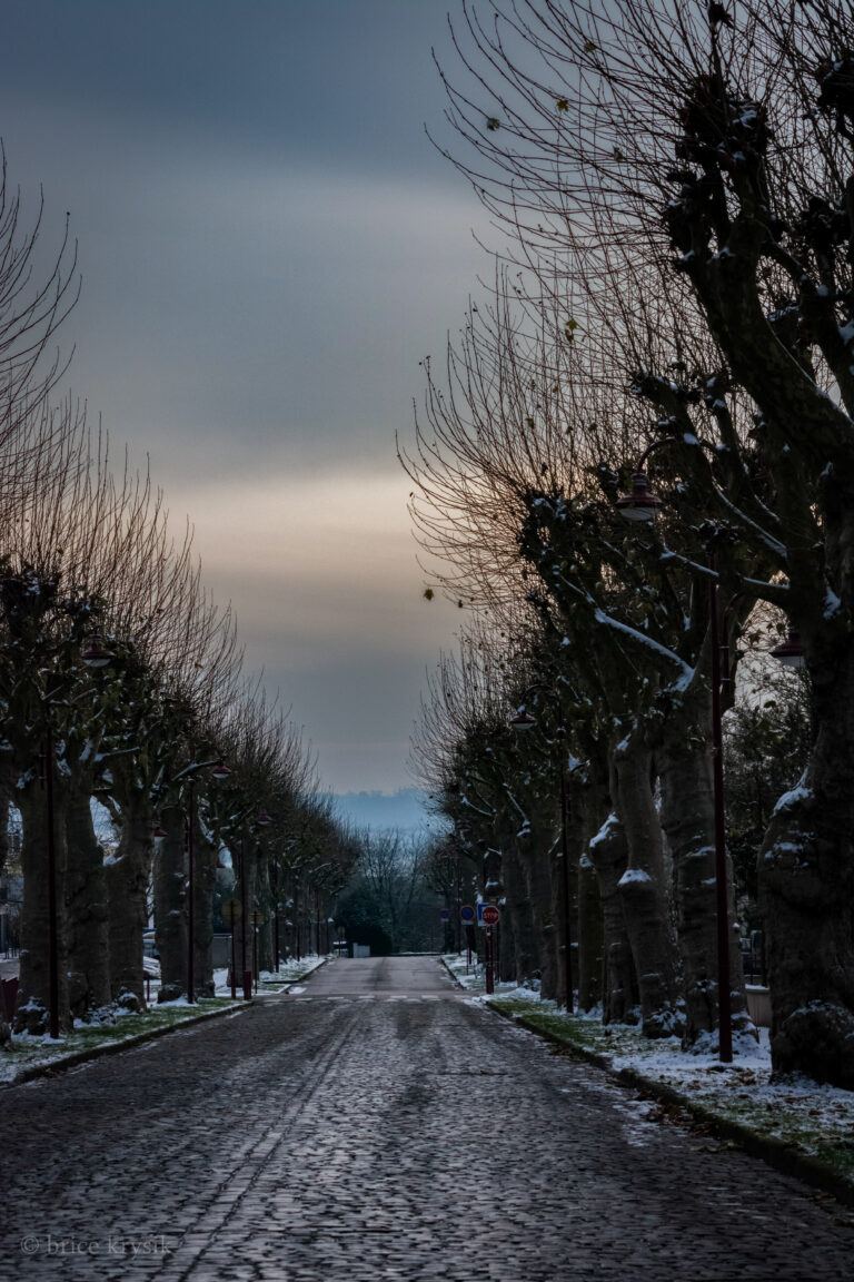 20221215-DSC_1123-14