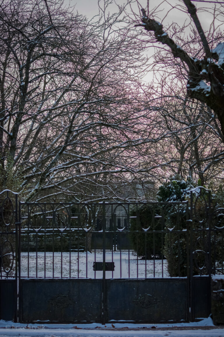 20221215-DSC_1168-26