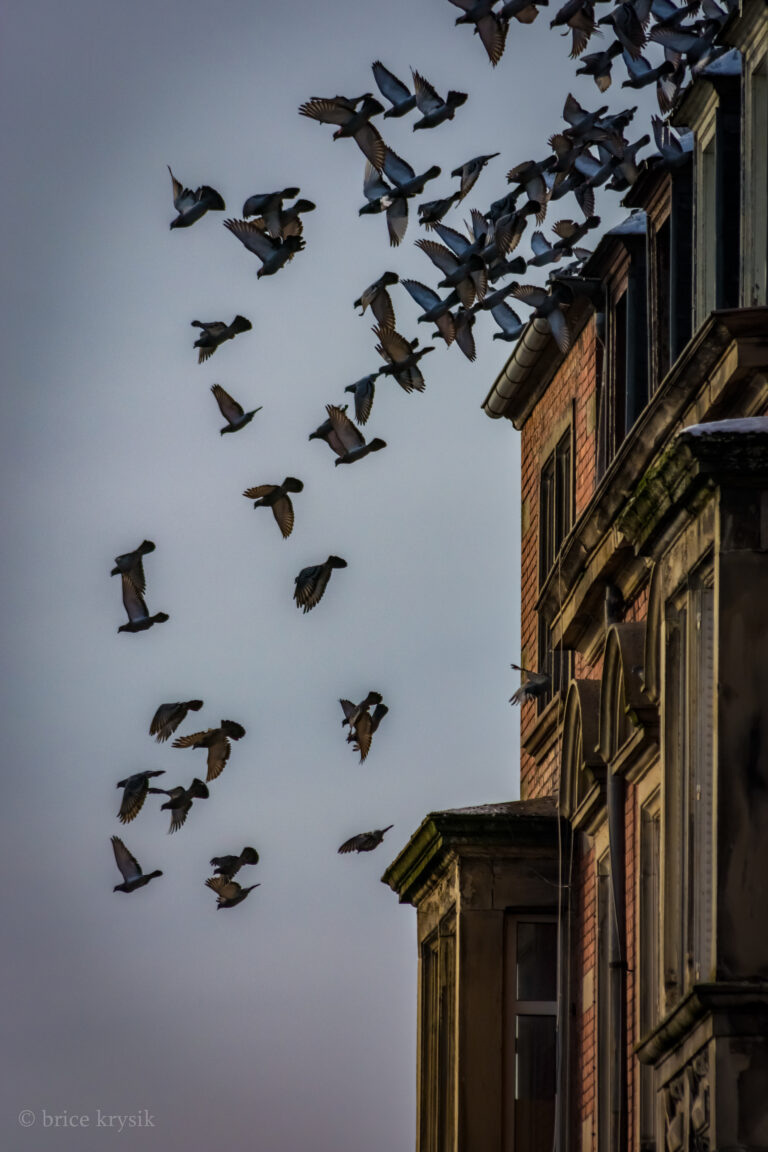 20221215-DSC_1208-33