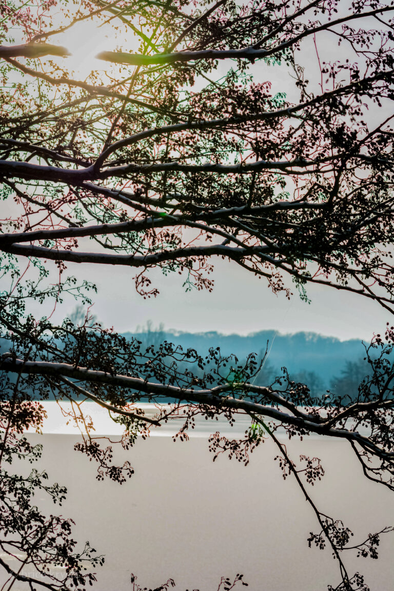 20221215-DSC_1271-39